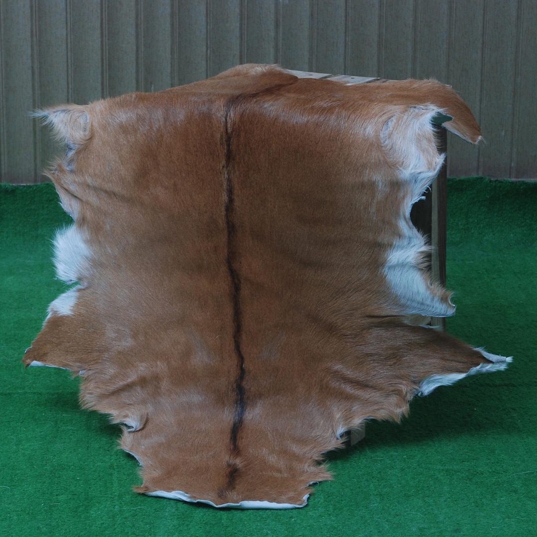 Brown & White Goat Skin Rug – Natural Animal Hide, Rustic Decor (36x24 ...