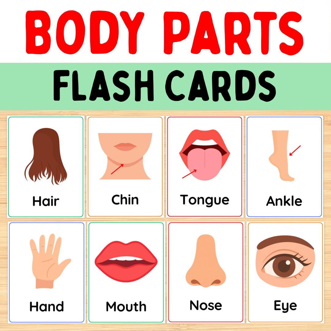 Body Parts Flash Cards Printable, Preschool Body Parts Vocabulary Cards ...