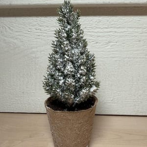 Dollhouse Miniature Evergreen Tree with Snow in Paper pot Natural Christmas Tree Undecorated Tree Winter Tree 1:12