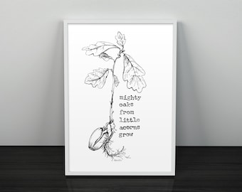 Mighty Oaks From Little Acorns Grow Illustrated Digital Download Art Print
