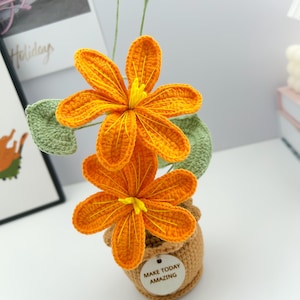 以下が含まれることがあります： オレンジ色の花が2つと緑の葉がついた、かぎ針編みで作ったフラワーアレンジメント。茶色の鉢に入っていて、鉢には「Make Today Amazing」と書かれた木製のタグが付いています。