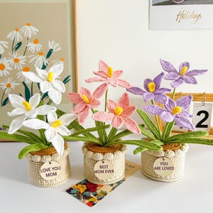 May include: Three crochet flower arrangements in small pots. One has white flowers, one has pink flowers, and one has purple flowers. Each pot has a tag that says "Love You Mom", "Best Mom Ever", and "You Are Loved".