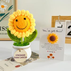 以下が含まれることがあります： 「STRONGER THAN CANCER」の文字が入った白い鉢植えに入った、手作りの笑顔のひまわり。 黄色の花は茶色の中心と緑の葉を持っています。 カードには、ひまわりのグラフィックとインスピレーションを与えるテキストとともに「You've got this!」と書かれています。