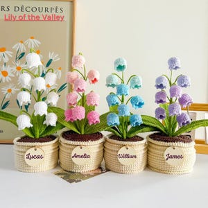 Puede incluir: Cuatro plantas de lirios de los valles hechos a mano con ganchillo en cestas tejidas. Cada planta presenta flores de diferentes colores: blanco, rosa, azul y morado. Las cestas tienen etiquetas de madera con los nombres "Lucas", "Amelia", "William" y "James".
