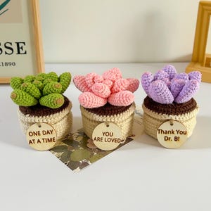 Handmade Crochet Plant Set – Mint Green Monstera, Succulent, Fern & Snake Plant – Housewarming Gift, Plant Lover Gift With Custom Tags