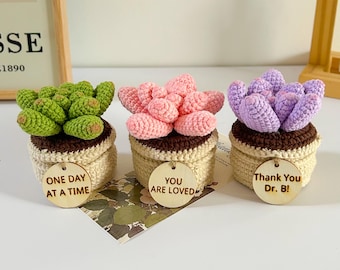 Handmade Crochet Plant Set – Mint Green Monstera, Succulent, Fern & Snake Plant – Housewarming Gift, Plant Lover Gift With Custom Tags