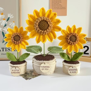 以下が含まれることがあります： 白い鉢植えに植えられた、手作りのかぎ針編みのひまわりが3つ。ひまわりは黄色い花びらと茶色の中心部があります。各鉢には「A LITTLE SUNSHINE」、「THINKING OF YOU」、「SENDING A HUG」と書かれた木製のタグが付いています。