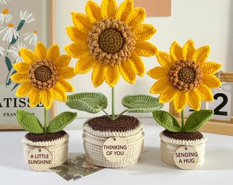 Sending a Hug Gift  | Thinking of You, Thank You Gift & Long-Distance Keepsake | Hygge Crochet Flower in Pot | Friendship Missing You Gift