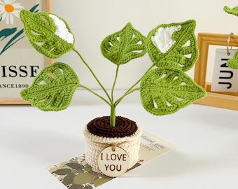 Handmade Crochet Plant Set – Mint Green Monstera, Succulent, Fern & Snake Plant – Housewarming Gift, Plant Lover Gift With Custom Tags