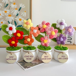 Peut inclure: Plusieurs fleurs crochetées à la main dans de petits pots blancs. Chaque fleur est d'une couleur différente, notamment rouge, orange, jaune, rose, blanc et violet. Chaque pot porte une étiquette en bois avec un message tel que "Sent with Hugs" ou "Love You Mom".