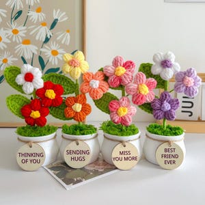 以下が含まれることがあります： 小さな白い鉢に入った手作りのかぎ針編みの花のコレクション。各花は赤、オレンジ、ピンク、黄色、白、紫など、異なる色をしています。鉢には「Thinking of You」、「Sending Hugs」、「Miss You More」、「Best Friend Ever」と書かれた木製のタグが付いています。
