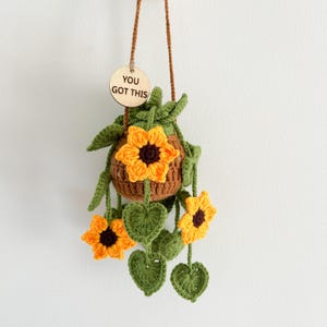 Finished Crochet Plant,Car Hanging Plant,Wall Hanging Plant,Crochet Plant Basket,Crochet Plant Car Hanging,Cute Car Decor,Birthday Gift