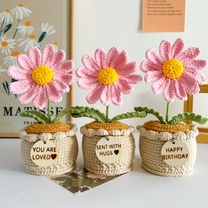 Cute Crochet Sunflowers/Tulip/Rose Plants,Crochet Flowers,Thank You For Helping Me Grow,Emotional Support Gift,Thank You Gift,Teacher Gifts