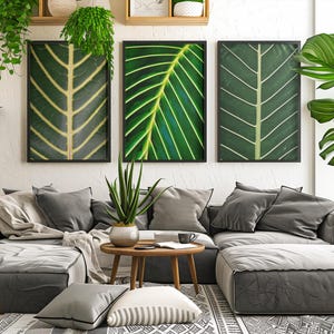 Tropical Leaf Wall Art | Green Botanical Print | Jungle Leaf Photo | Nature Decor by TheMountainHerron