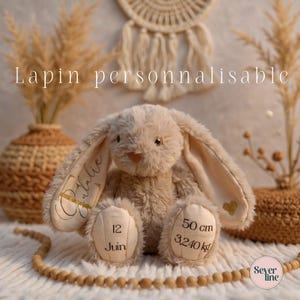 Aanpasbaar knuffelkonijn met voornaam, geboortedatum, gewicht en maat Babydeken met strijkbare personalisatie