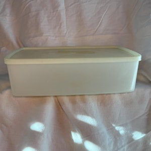 May include: A rectangular, off-white plastic container with a matching lid. The container has a simple, clean design, suitable for food storage. The lid fits snugly on top, creating a secure seal. The container is sitting on a white fabric surface.