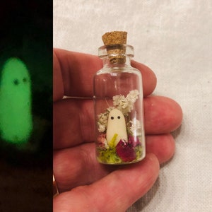 Spirit Jars with glow in the dark spirit ghost choose your spirit Shown in Garden also New York Newport Rockport Boston  & more