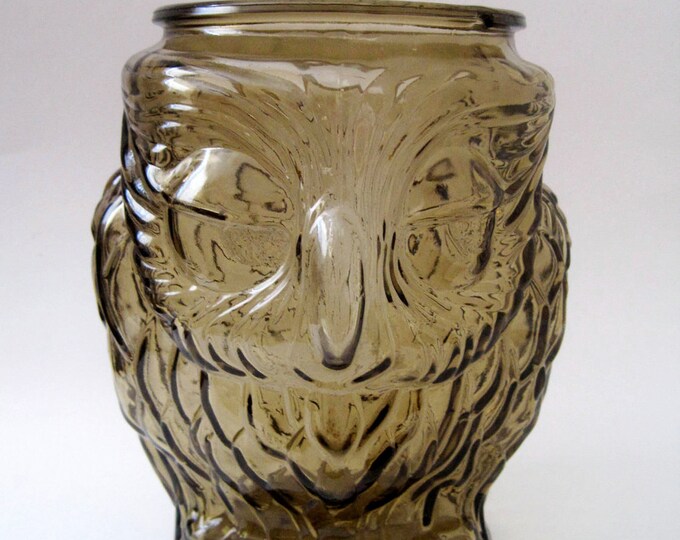 Vintage Large Glass Owl Jar Container Etsy