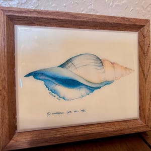 May include: A rectangular wooden frame containing a white tile with a watercolor-style illustration of a seashell. The shell features blue and cream gradients. The text Kimberly Kim and © Kimberly Ent. Inc. 1985 are printed on the tile surface.