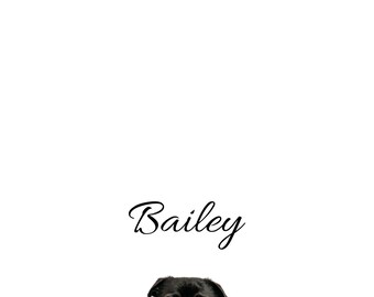 Könnte beinhalten: Ein schwarzer Mops mit einem leicht besorgten Gesichtsausdruck, der ein blaues Hemd trägt. Der Name "Bailey" steht in eleganter Schreibschrift über dem Hund. Der Hintergrund ist schlicht weiß.