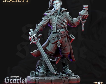 Tristan Kamlon | Male Bard Rogue Fighter Miniature | Archvillain Games | Scarlet Scourge | 3d Printed Resin Mini | Fantasy | DnD | RPG