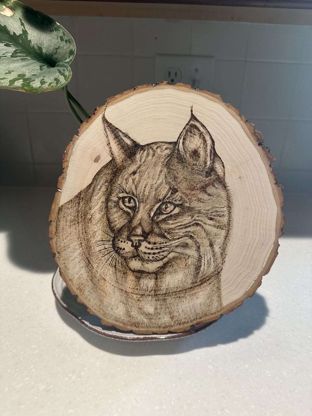 Rustic Bobcat Wood Burned Bobcat Plaque: Pyrography Art on Rustic Wood Slice - Etsy