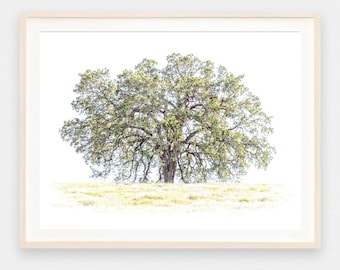 Oak tree printable, oak tree photograph, oak tree art, oak tree print, digital download, tree silhouette, abstract tree art, single tree art
