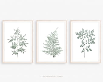 Set of 3 plant prints, Minimalist botanical triptych, Fern print, Plant photograph, Vintage plant art, Farmhouse print, Botanical printable