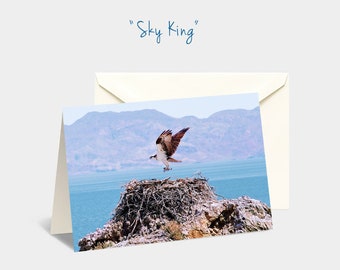 Osprey notecard, Osprey note card, Sea Eagle card, Sea Hawk greeting card, Osprey photograph, Bird stationery, Bird print, Water fowl card