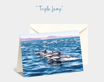 Dolphin card, Dolphin note card, Dolphin notecards, Porpoise card, Dolphin art, Dolphin photograph, Ocean stationery, 5x7 greeting card