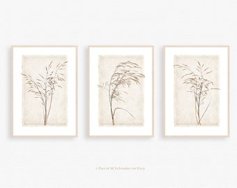 Set of 3 botanical plant prints, Farmhouse printable, Vintage botany print, Minimalist nature wall art, Digital download, Beige wall decor