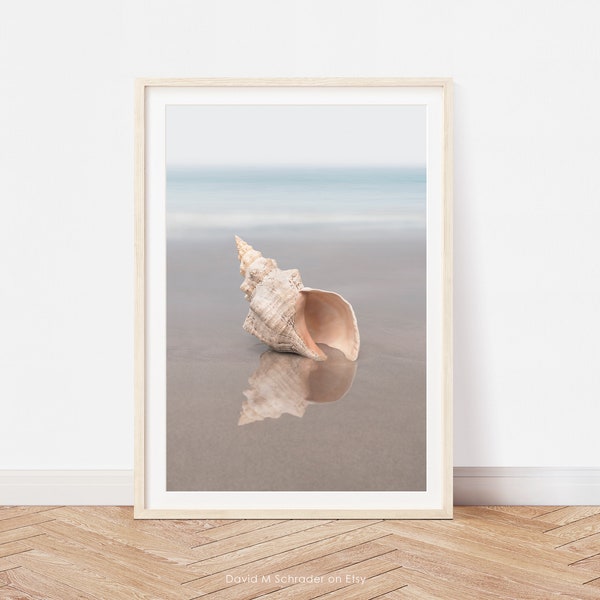 Conch shell print, Seashell printable, Shell print, Seashell photo, Shell photograph, Shell download, Pastel ocean art, Coastal wall decor