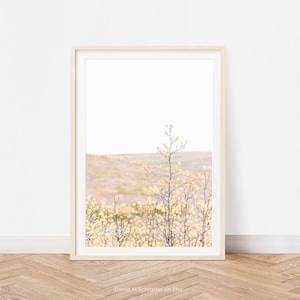 K&ouml;nnte beinhalten: Ein gerahmtes Foto eines Feldes mit gelben Wildblumen, in dessen Mitte ein einzelner, hoher Bl&uuml;tenstand steht. Der Hintergrund ist ein weiches, verschwommenes, hellblaues.