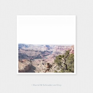 May include: A panoramic view of the Grand Canyon, featuring a winding river snaking through the colorful rock formations. A lone tree stands on the edge of the canyon, offering a sense of scale and perspective.