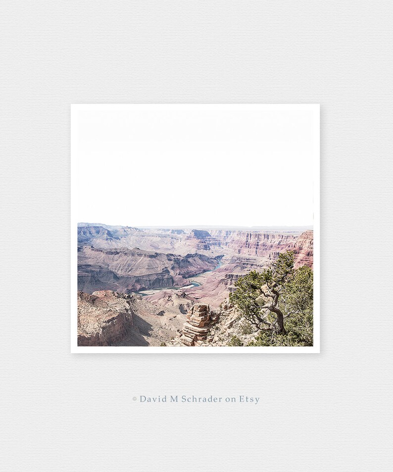 May include: A panoramic view of the Grand Canyon, featuring a winding river snaking through the colorful rock formations. A lone tree stands on the edge of the canyon, offering a sense of scale and perspective.