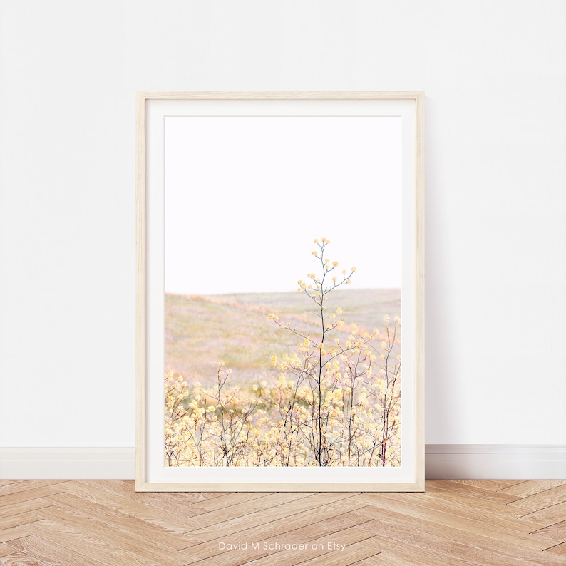 K&ouml;nnte beinhalten: Ein gerahmtes Foto eines Feldes mit gelben Wildblumen, in dessen Mitte ein einzelner, hoher Bl&uuml;tenstand steht. Der Hintergrund ist ein weiches, verschwommenes, hellblaues.
