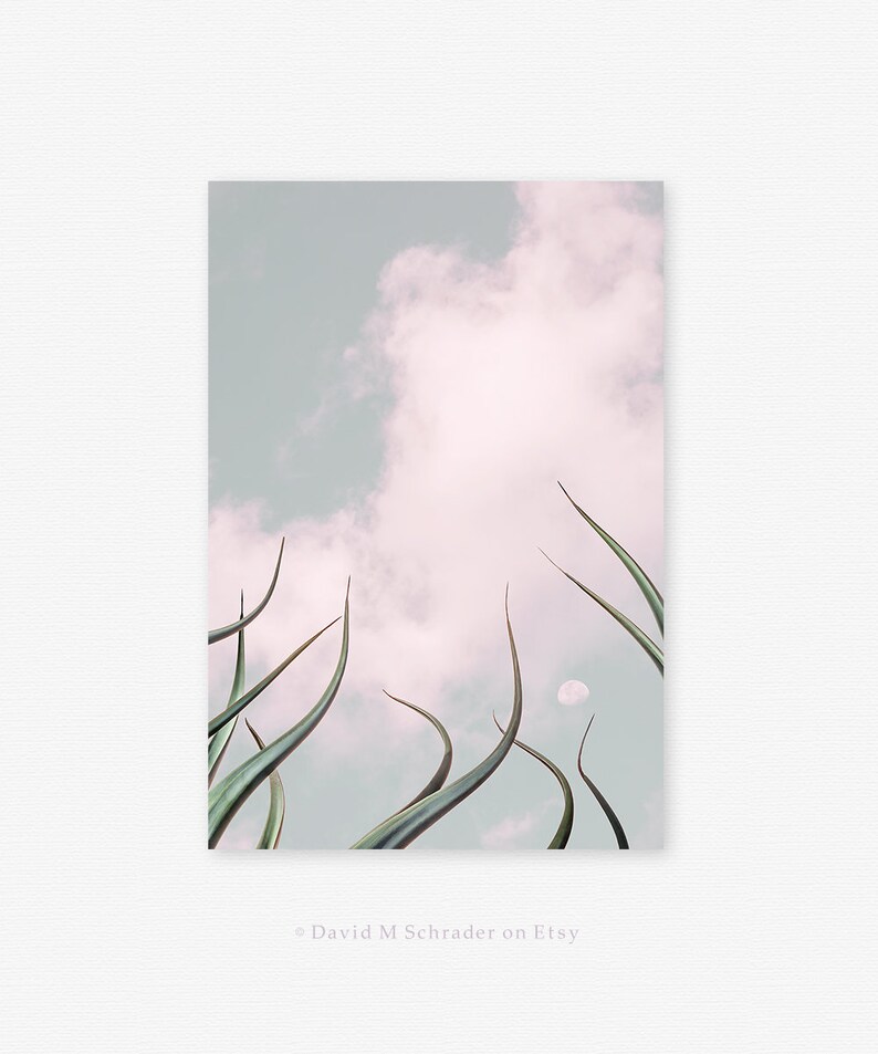 Agave Printable Art Agave Print Succulent Print Cactus Wall - Etsy