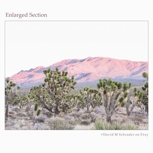 May include: A landscape photograph showing Joshua trees in the foreground and a mountain range in the background. The mountains have a pinkish hue, and the sky is pale white. The image is labelled "Enlarged Section" and includes the Etsy shop name.