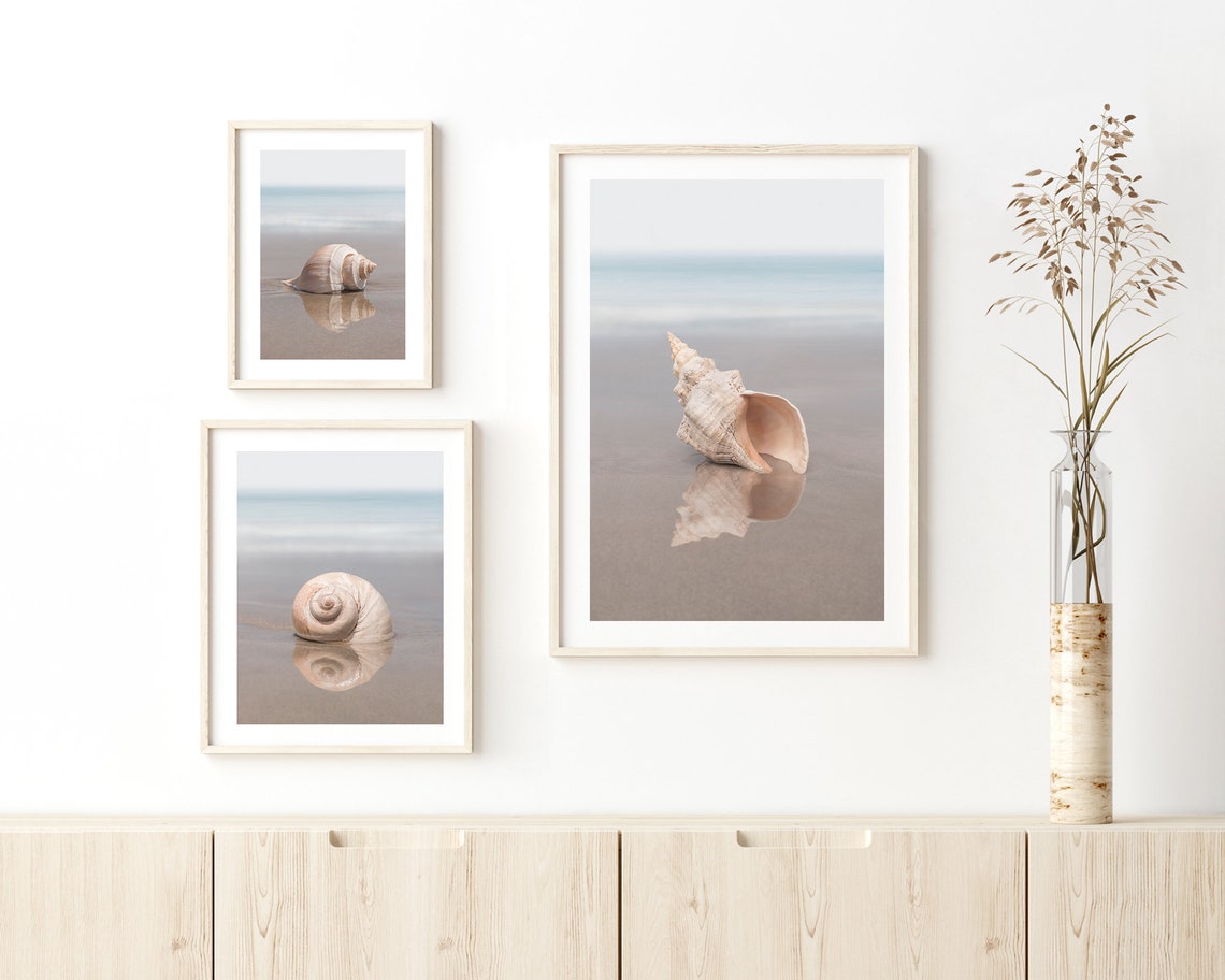 Set of 3 Shell Prints, Shell Print Set, Seashell Print Set, Shell ...