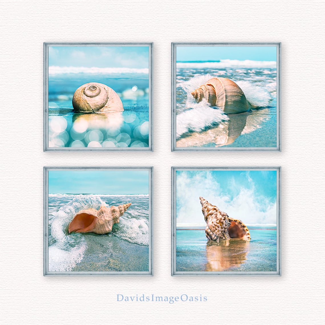 Seashell Print Set, Seashell Photo, Seashell Photography, Seashell ...