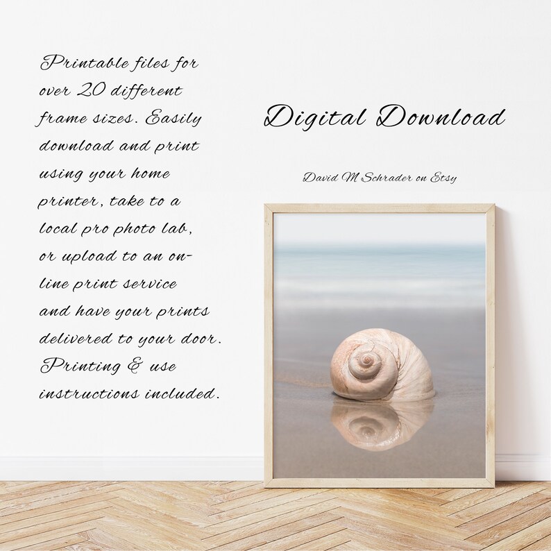Seashell Printable, Shell Print, Seashell Photo, Shell Photograph ...