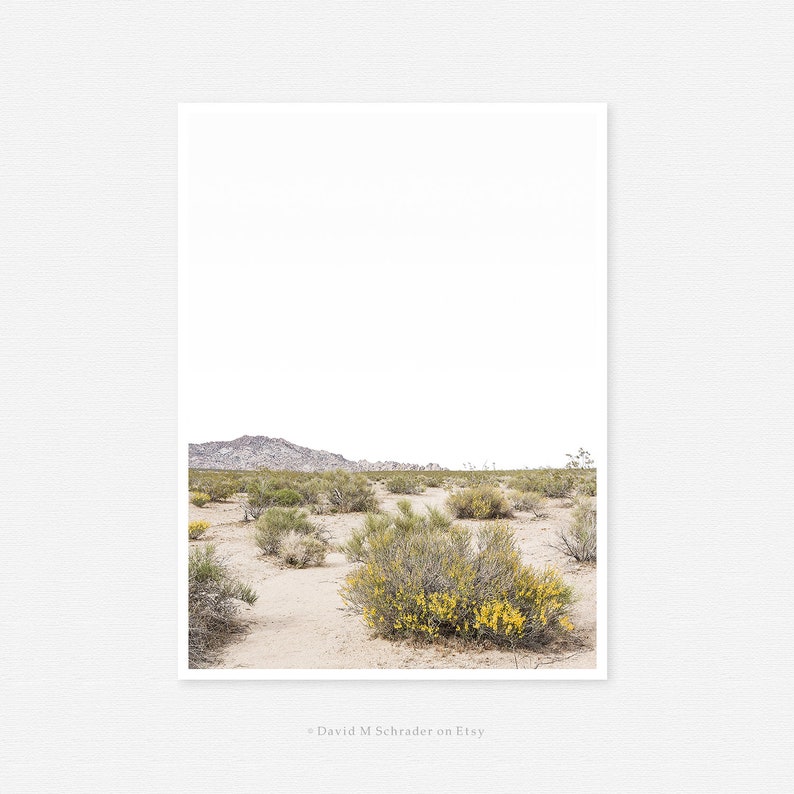 May include: A photograph of a desert landscape with a mountain range in the background. The foreground features a variety of desert plants, including some with yellow flowers.