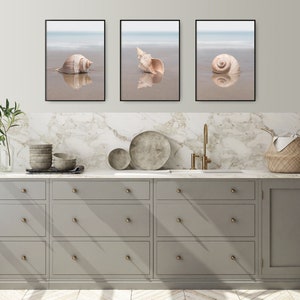 Set of 3 Shell Prints, Shell Print Set, Seashell Print Set, Shell ...