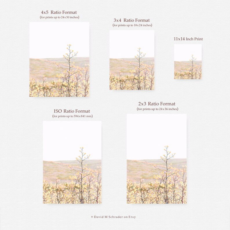 K&ouml;nnte beinhalten: Ein digitaler Druck eines Landschaftsfotos mit einer hohen, d&uuml;nnen Pflanze mit gelben Bl&uuml;ten, die in einem Feld mit hohem Gras w&auml;chst. Das Bild ist in verschiedenen Seitenverh&auml;ltnissen erh&auml;ltlich, darunter 4x5, 3x4, 2x3 und ISO.