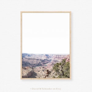 May include: A framed photograph of the Grand Canyon, featuring a view of the canyon's layered rock formations and a winding river. A small tree is in the foreground, adding a touch of green to the landscape.