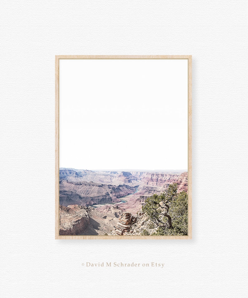 May include: A framed photograph of the Grand Canyon, featuring a view of the canyon's layered rock formations and a winding river. A small tree is in the foreground, adding a touch of green to the landscape.
