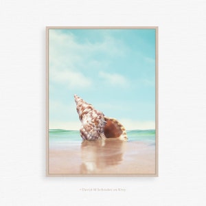 Sea shell print, Seashell print, Shell photography, Ocean wall decor, Beach house print, Sea shell printable, Seashell printable, Wave photo