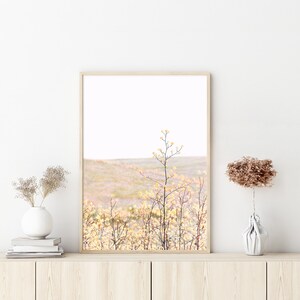 K&ouml;nnte beinhalten: Ein gerahmter Druck eines Landschaftsfotos mit einem Feld aus zarten, hellgelben Wildblumen, in dessen Mitte ein einzelner, hoher Wildblumenst&auml;ngel steht. Der Hintergrund ist weich, unscharf, hellrosa und wei&szlig;.