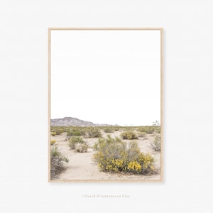 Art de paysage du désert, photo minimaliste, impression du désert, photographie de Mojave, paysage minimaliste, désert de Mojave, fleurs de cactus, art californien
