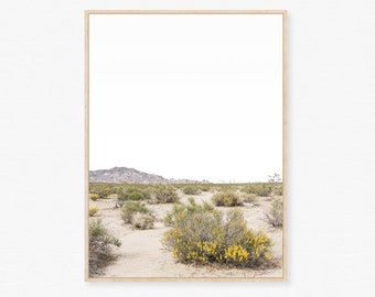Desert landscape art, Minimalist photo, Desert print, Mojave photograph, Minimalist landscape, Mojave desert, Cactus flowers, California art